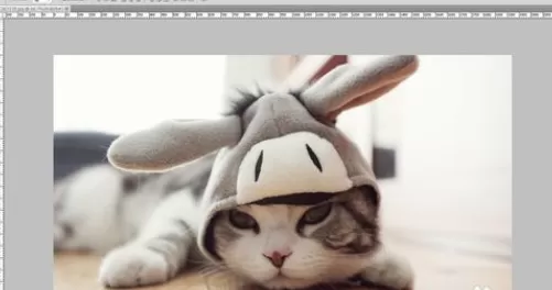 使用photoshop进行固定剪裁图片的具体步骤