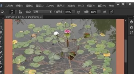 在photoshop中使用标尺工具的详细步骤