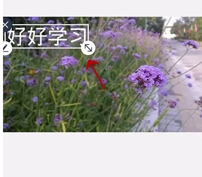 使用天天P图为照片添加文字的详细步骤