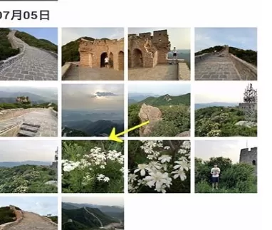 使用天天P图为图片增加特效功能的详细步骤