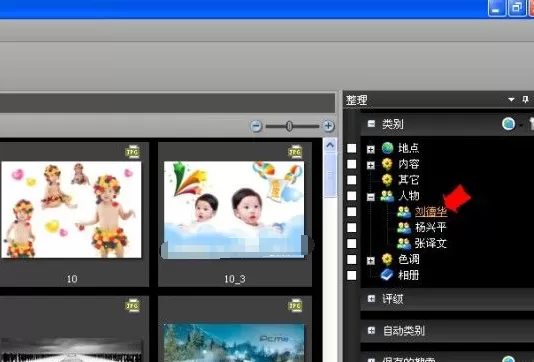 在ACDSee中实行使用标签管理图像的详细方法