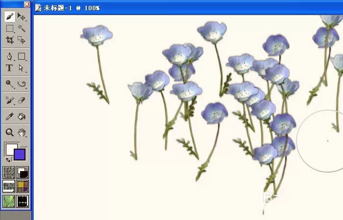 Painter绘制花朵的简单操作步骤