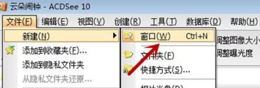 在ACDSee中实行新建窗口的具体操作方法