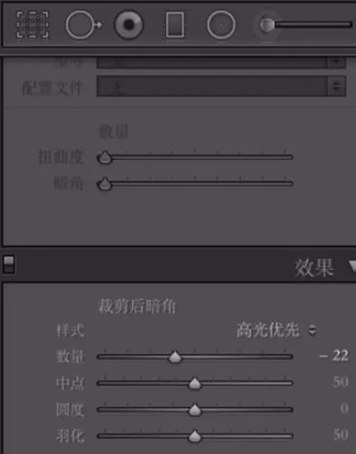 使用lightroom为图片添加胶片颗粒效果的详细步骤