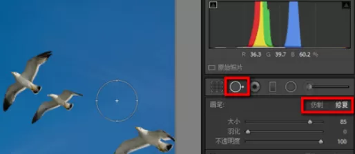 在lightroom中使用污点去除功能的详细方法