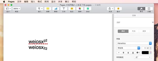 Pages输入上标下标的具体方法介绍