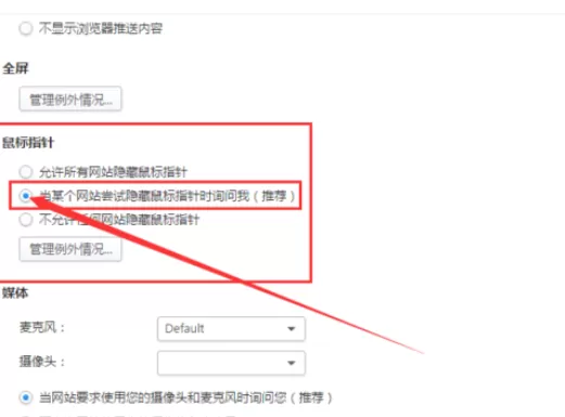 在千影浏览器中进行设置网站隐藏鼠标指针的详细步骤