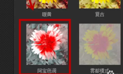 使用光影魔术手制作出阿宝效果图片的具体操作方法