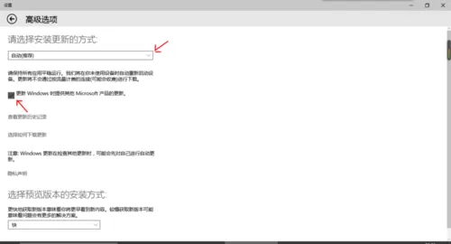 在Win10系统中快速安装预览版本的图文教程