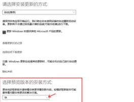 在Win10系统中快速安装预览版本的图文教程