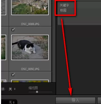 使用lightroom为照片添加关键字的具体步骤