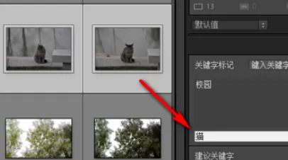使用lightroom为照片添加关键字的具体步骤