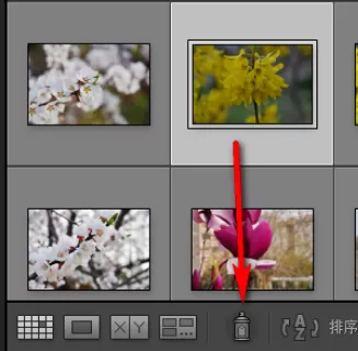 使用lightroom为照片添加关键字的具体步骤