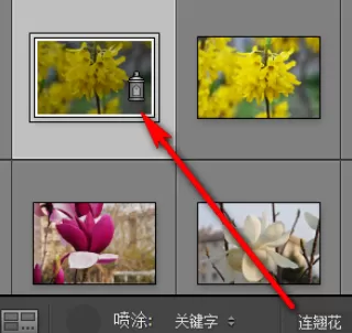 使用lightroom为照片添加关键字的具体步骤