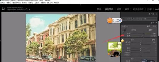 使用轻松学lr进行调整照片白平衡的详细步骤