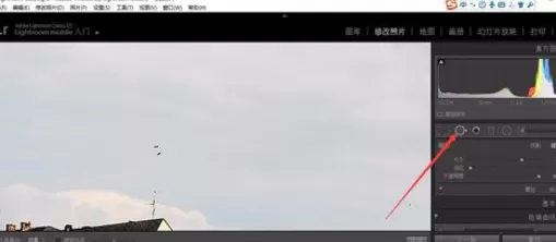 在轻松学lr中使用污点去除工具的具体方法介绍