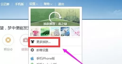 在163邮箱中将皮肤更换的详细操作步骤