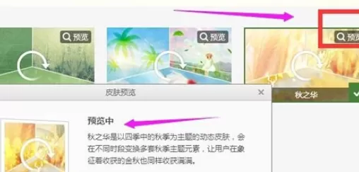 在163邮箱中将皮肤更换的详细操作步骤