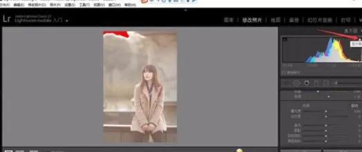 使用轻松学lr为照片调整色调的详细操作步骤