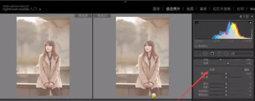 使用轻松学lr为照片调整色调的详细操作步骤