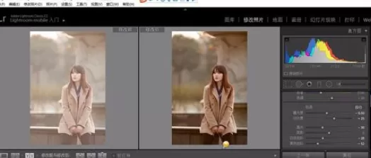 使用轻松学lr为照片调整色调的详细操作步骤