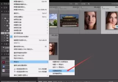 使用轻松学lr给照片构建智能预览的详细步骤