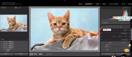 使用轻松学lr进行剪裁照片的详细操作步骤
