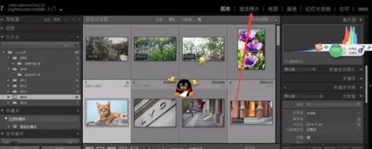 使用轻松学lr进行剪裁照片的详细操作步骤