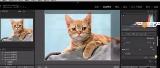 使用轻松学lr进行剪裁照片的详细操作步骤