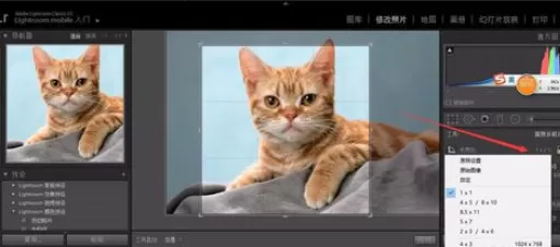 使用轻松学lr进行剪裁照片的详细操作步骤