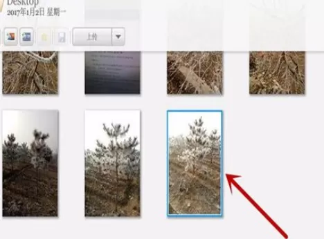 在Picasa中使用重命名功能的详细操作步骤