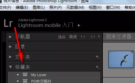 在lightroom中创建收藏夹及收藏夹集的具体步骤