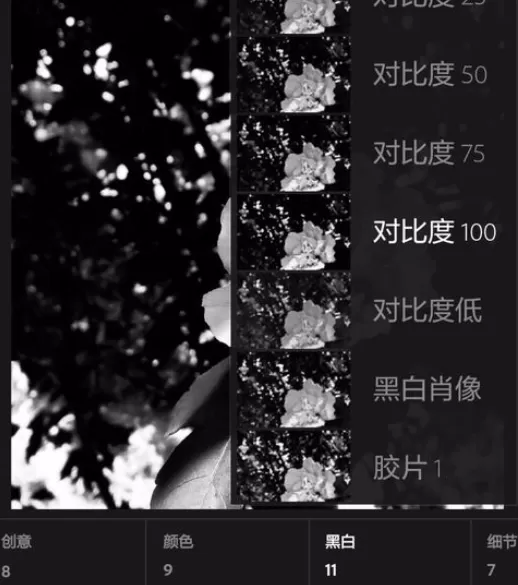 使用手机lightroom将彩色照片转换为黑白照片的详细方法