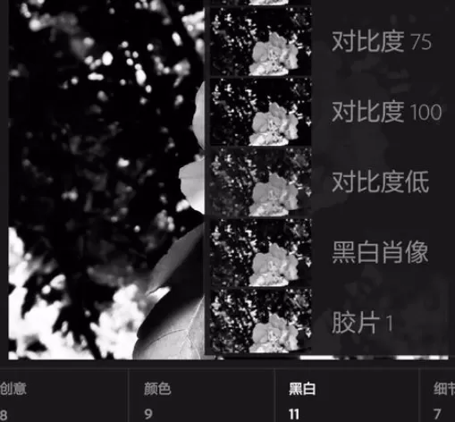 使用手机lightroom将彩色照片转换为黑白照片的详细方法