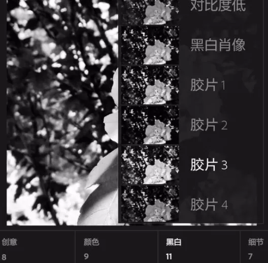 使用手机lightroom将彩色照片转换为黑白照片的详细方法