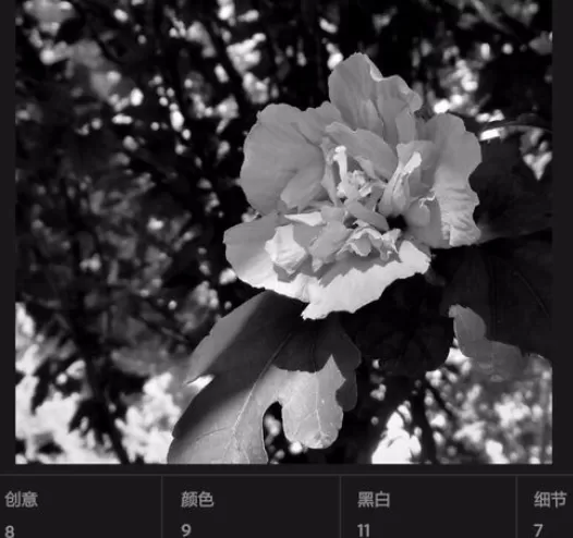 使用手机lightroom将彩色照片转换为黑白照片的详细方法