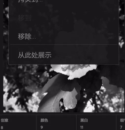 使用手机lightroom将彩色照片转换为黑白照片的详细方法