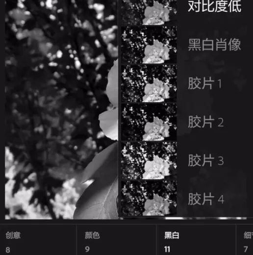 使用手机lightroom将彩色照片转换为黑白照片的详细方法