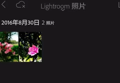 使用手机lightroom将彩色照片转换为黑白照片的详细方法