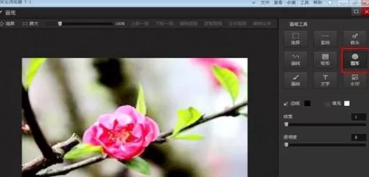 使用光影魔术手实现在图片上画出圆圈标记的详细步骤