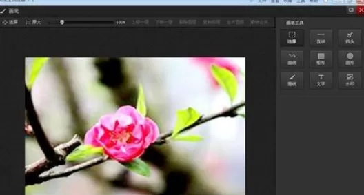 使用光影魔术手实现在图片上画出圆圈标记的详细步骤