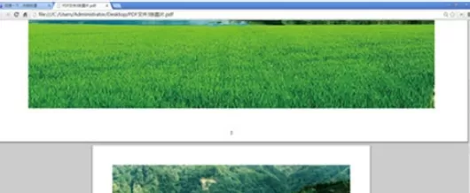 使用chrome浏览器将PDF格式文档打开查看的详细步骤