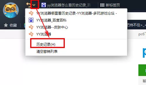 在YY浏览器中进行查看历史记录的详细步骤