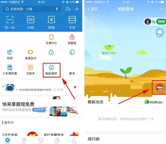 在支付宝蚂蚁森林中怎样进行合种？