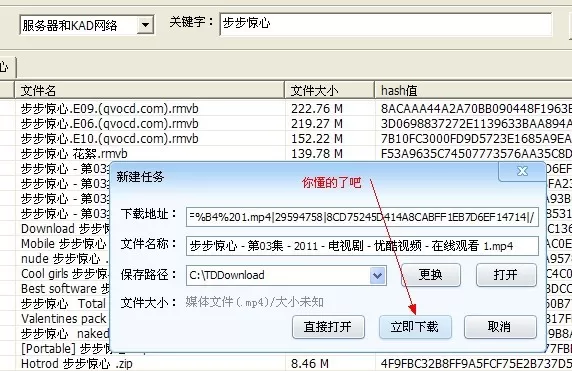 p2psearcher的具体使用方法介绍