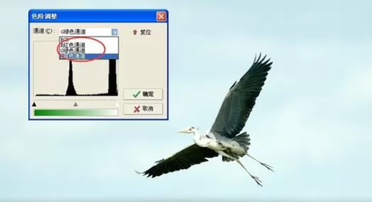 在光影魔术手中使用色阶的详细操作步骤