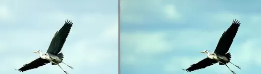 在光影魔术手中使用色阶的详细操作步骤