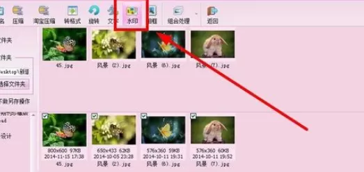 使用isee图片专家进行批量为图片添加水印的详细方法
