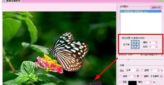 使用isee图片专家进行批量为图片添加水印的详细方法
