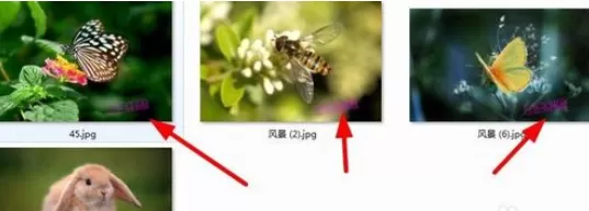 使用isee图片专家进行批量为图片添加水印的详细方法